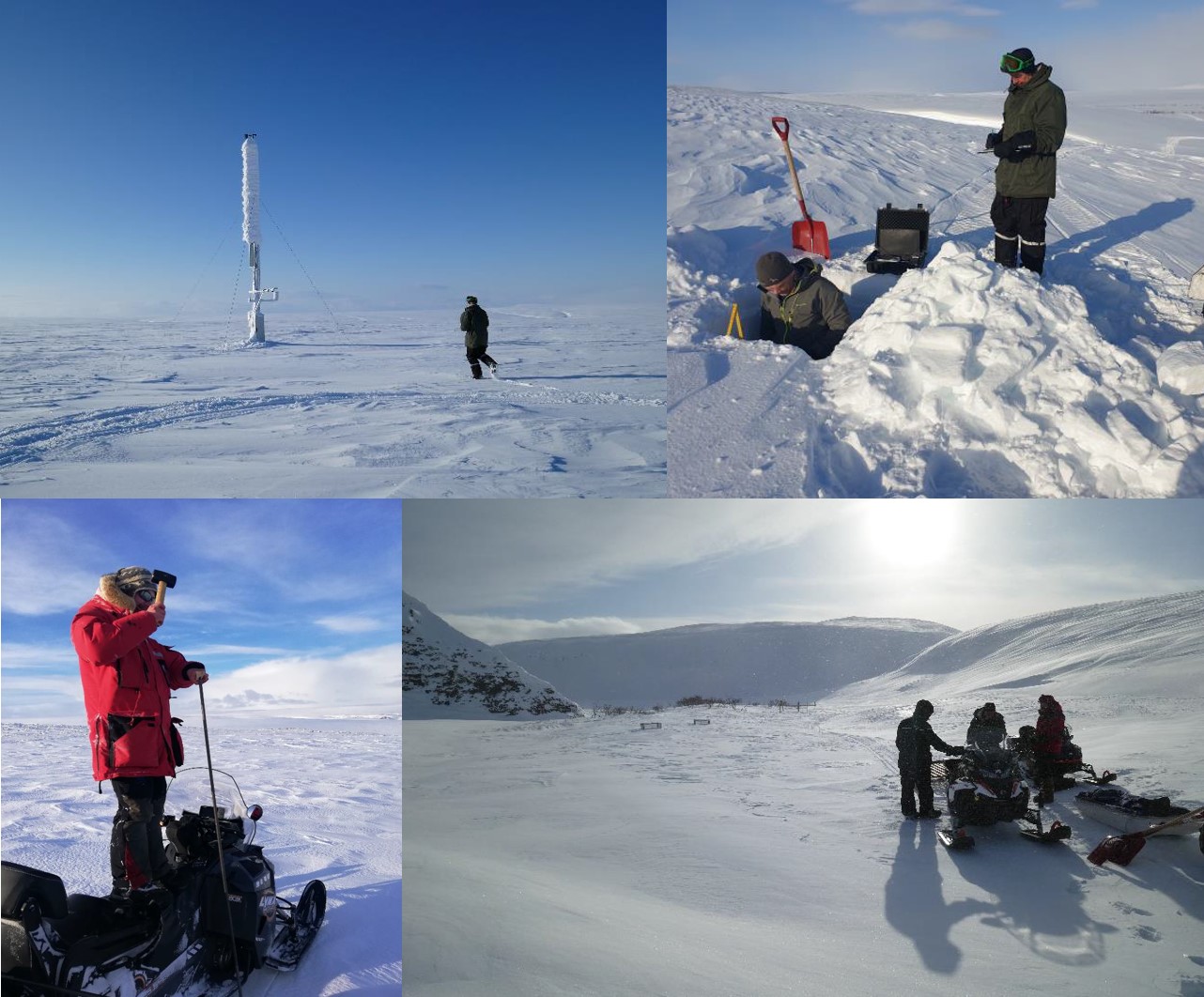 Upper left: COAT weather station at Boazoaivi (Reinhaugen), Upper right: Measurements of snow profile structure, Lower right: Hammering down a snow depth probe, Lower left: Little snow at Vestre Jakobselv study area (1m high small exclosures are visible). All photos: COAT.